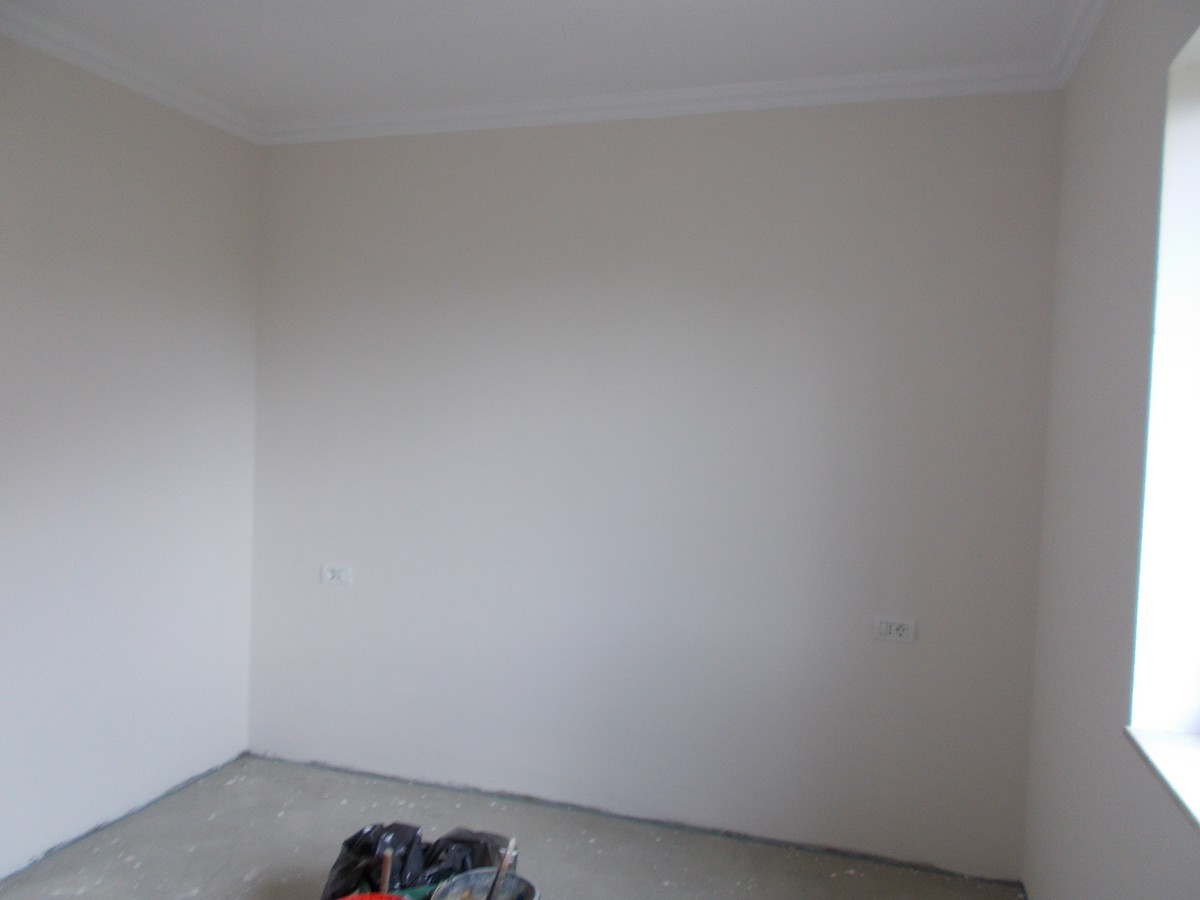 imobiliare timisoara