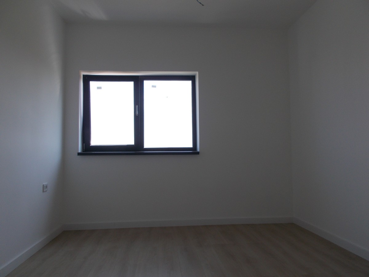 imobiliare timisoara