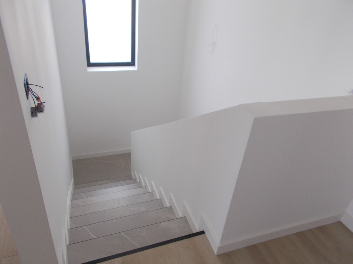 imobiliare timisoara