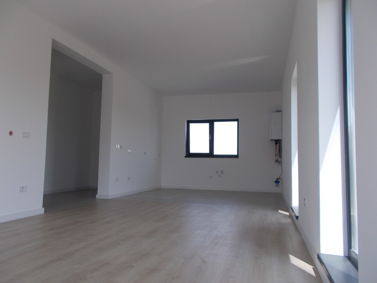 imobiliare timisoara