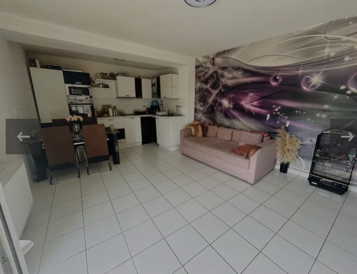 imobiliare timisoara