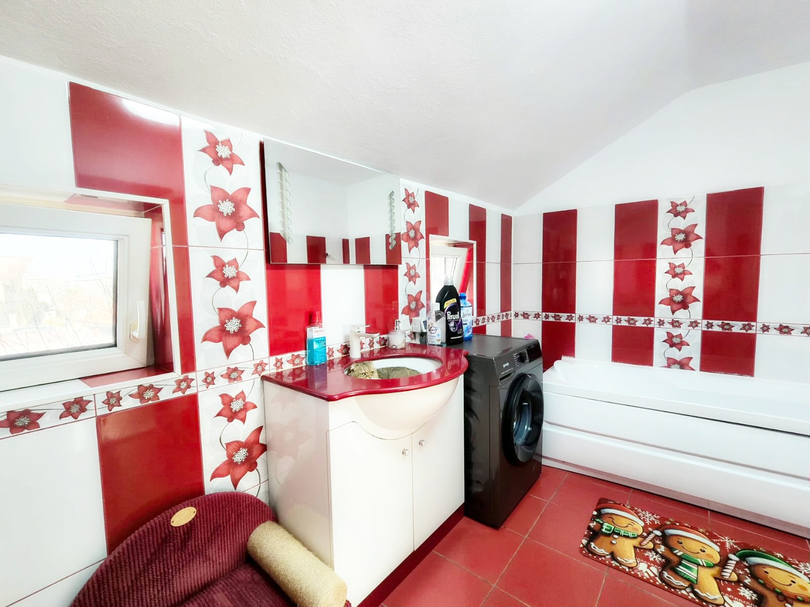 imobiliare timisoara