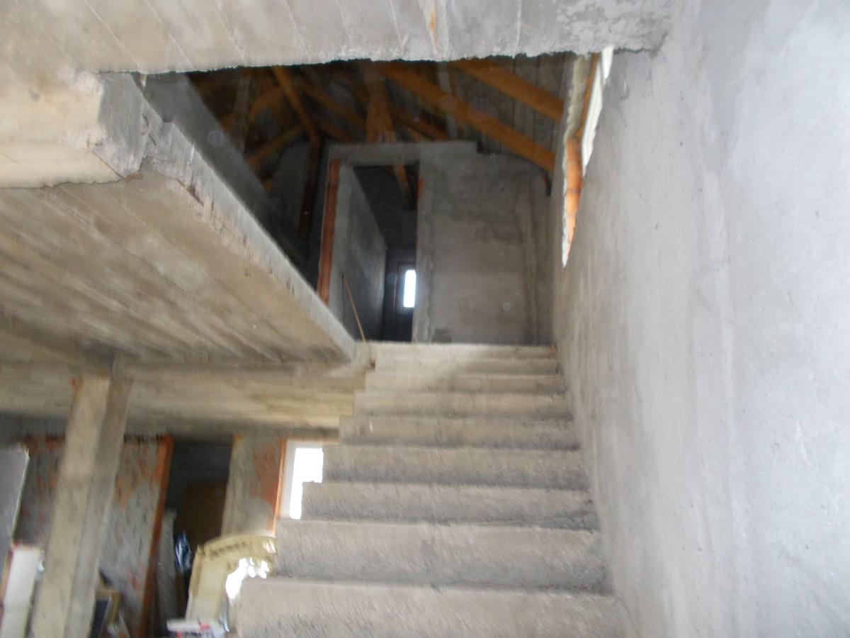 imobiliare timisoara