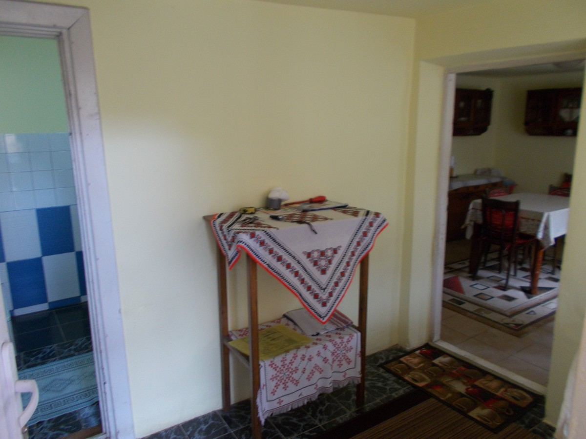 imobiliare timisoara
