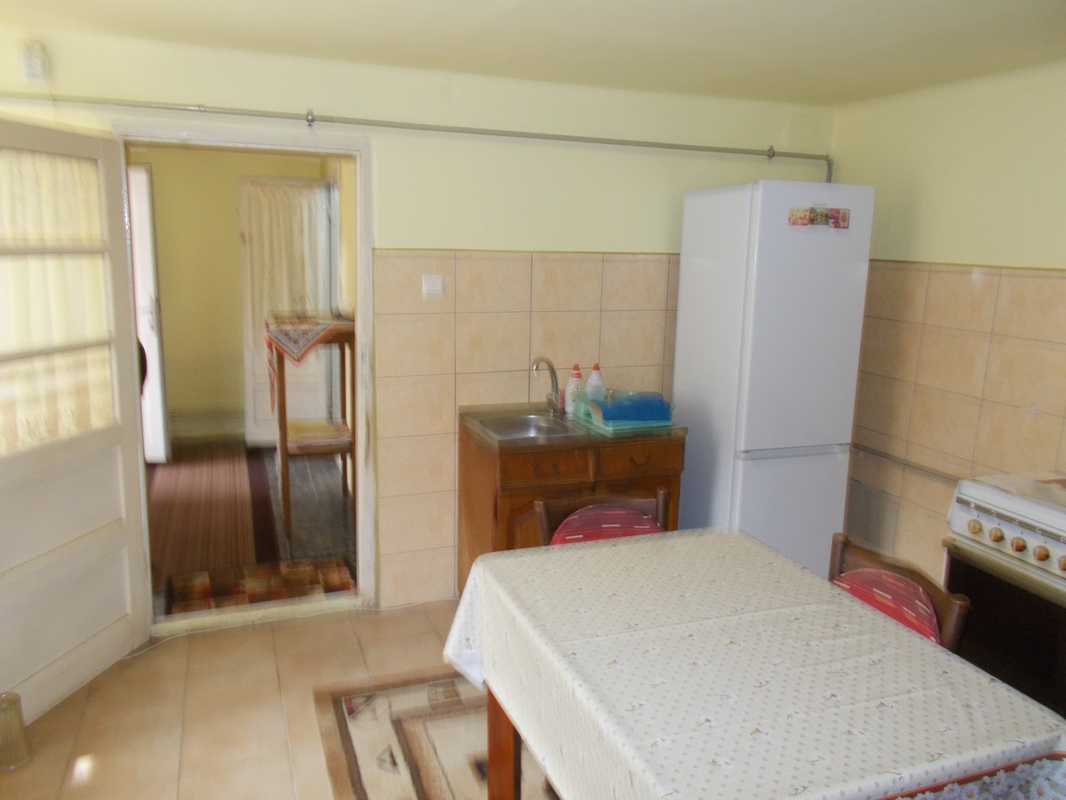 imobiliare timisoara