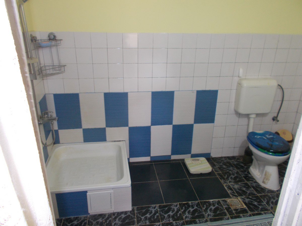 imobiliare timisoara