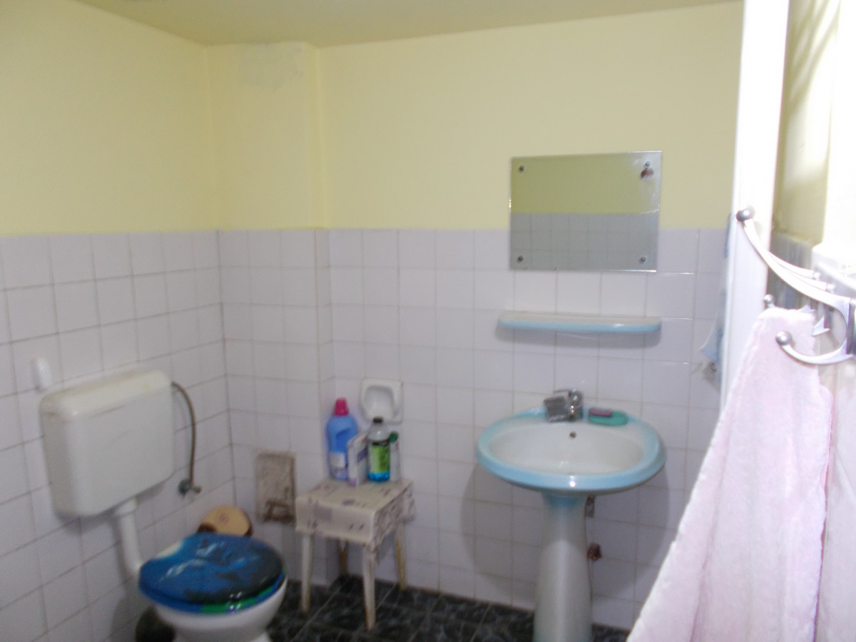 imobiliare timisoara