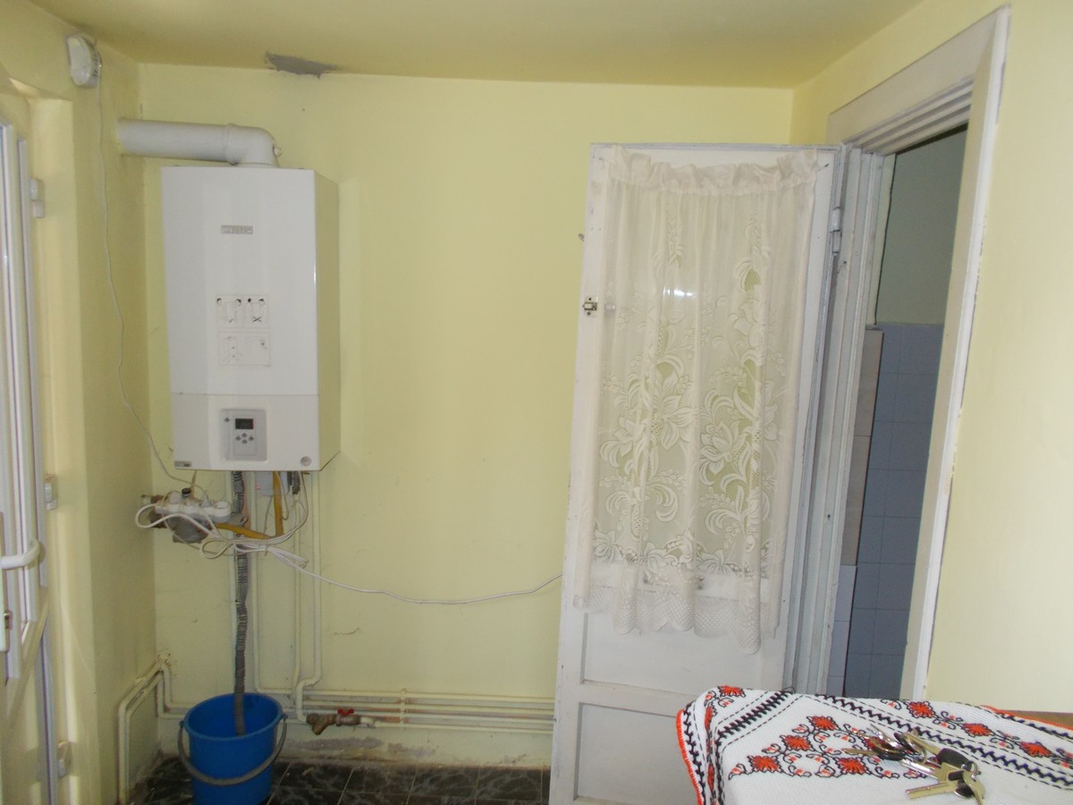 imobiliare timisoara