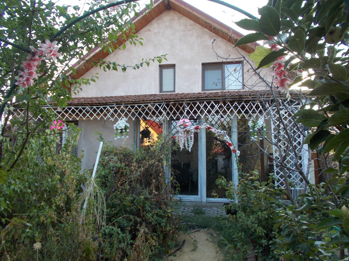 imobiliare timisoara