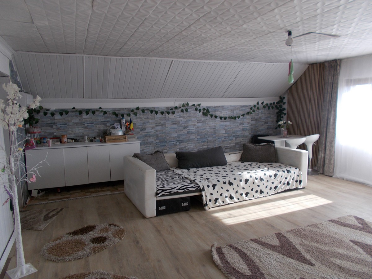 imobiliare timisoara
