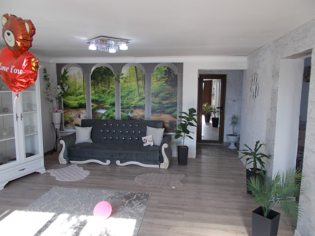 imobiliare timisoara