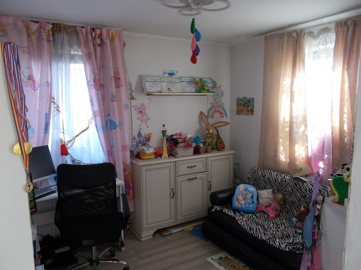 imobiliare timisoara