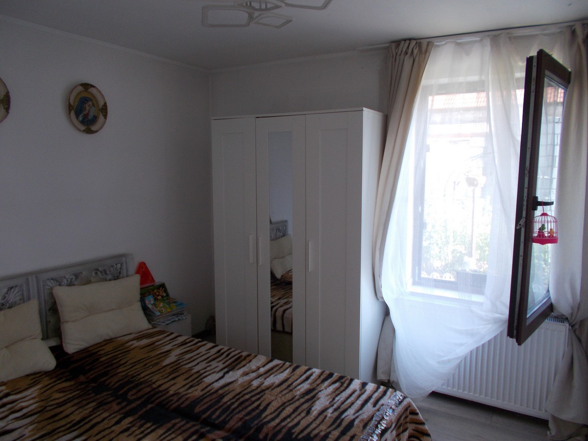 imobiliare timisoara