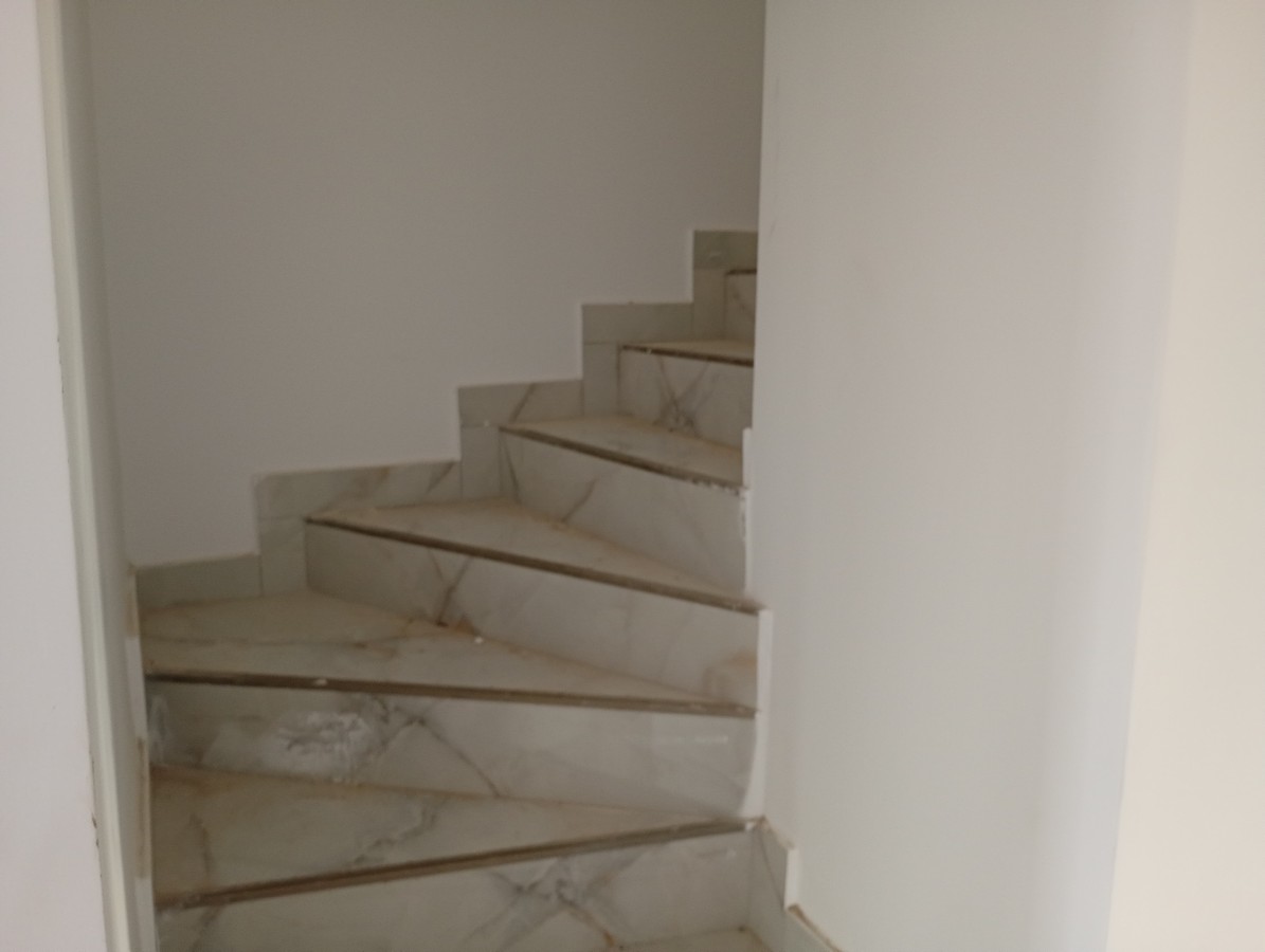 imobiliare timisoara