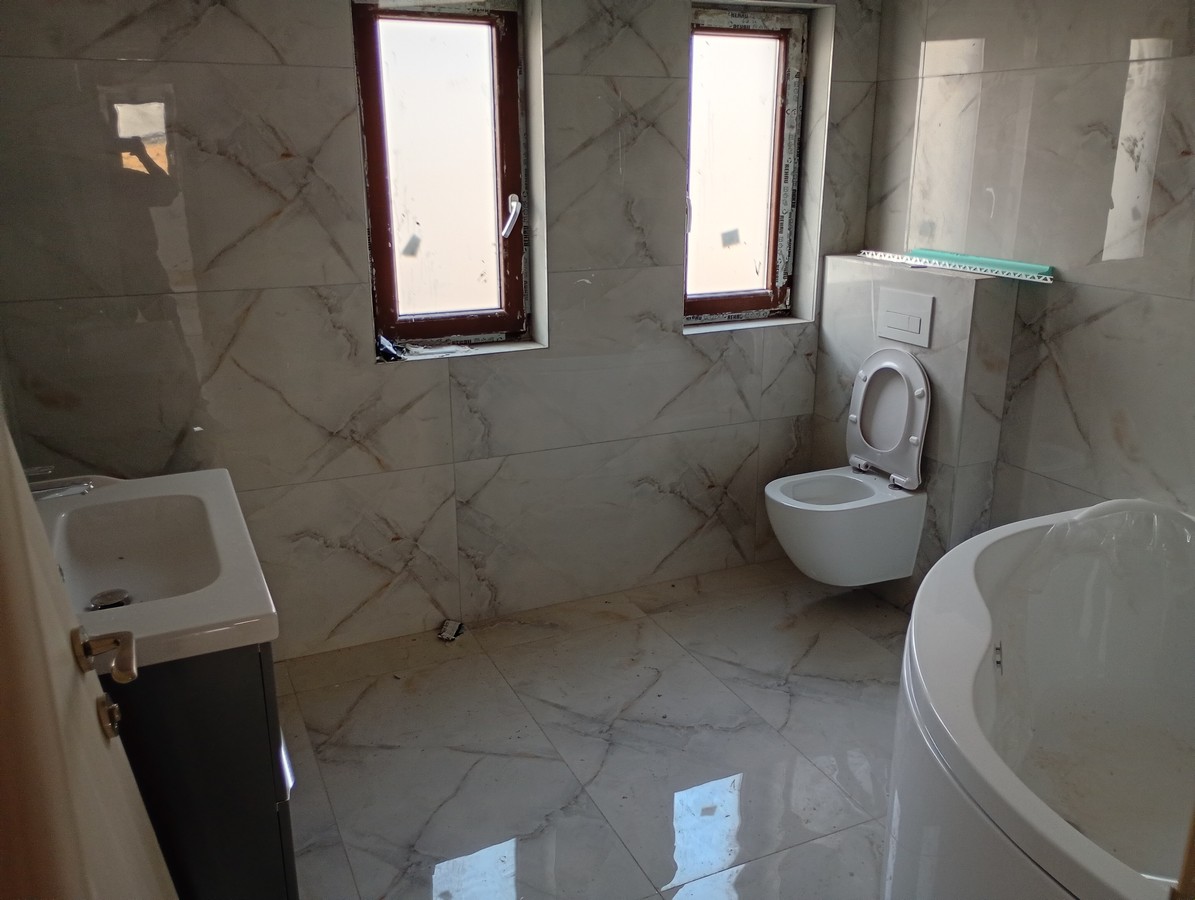 imobiliare timisoara