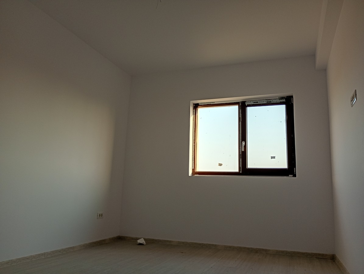 imobiliare timisoara