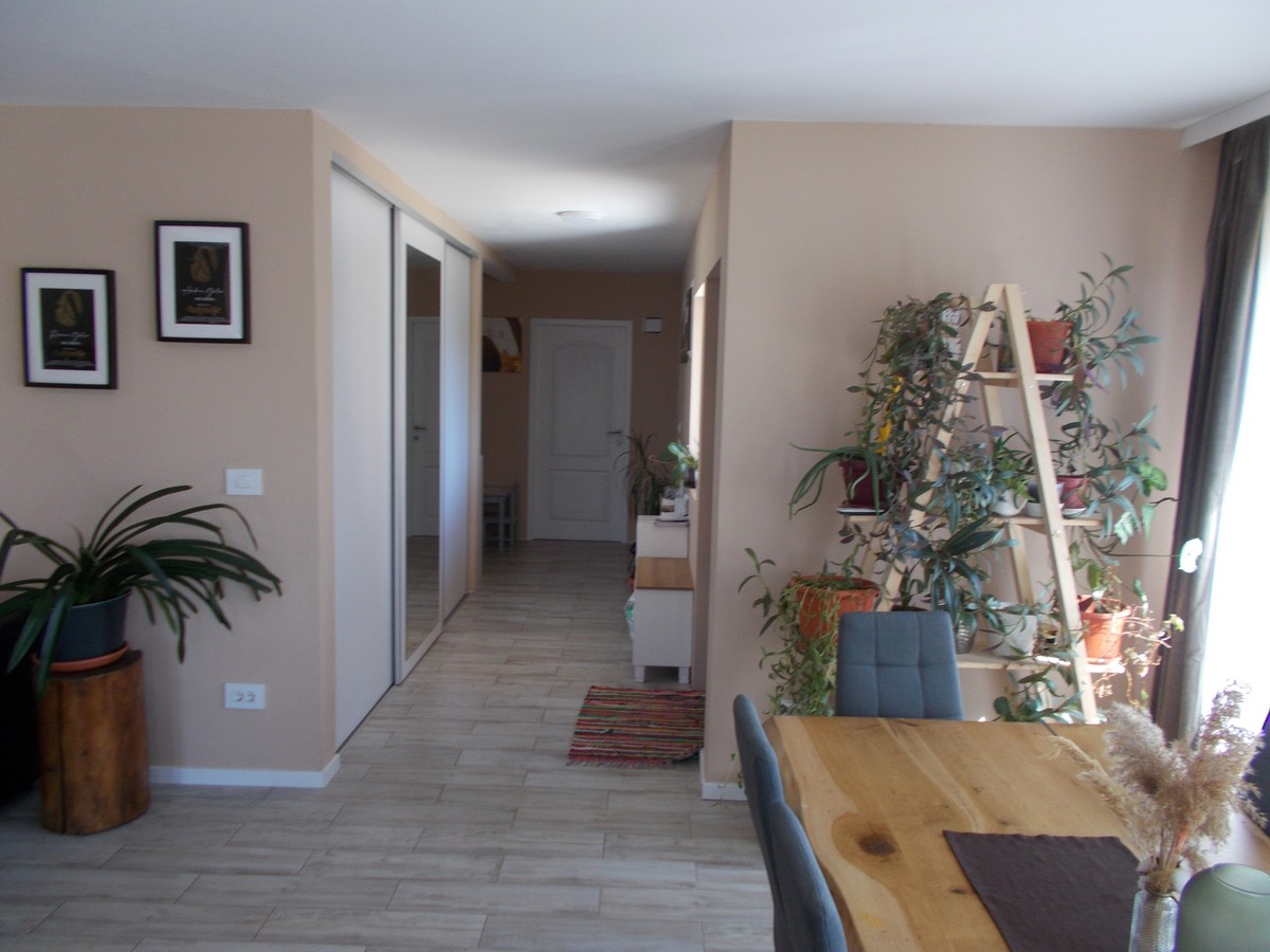 imobiliare timisoara