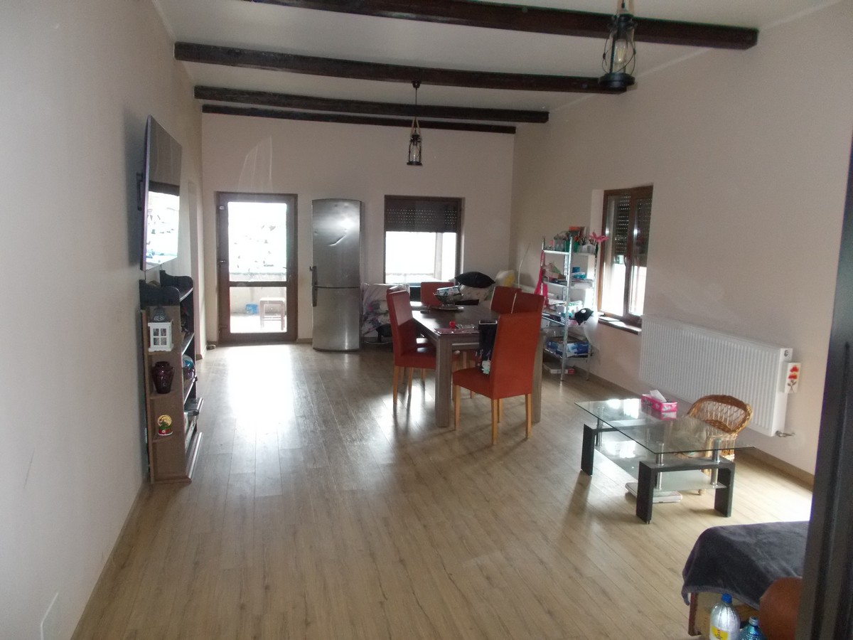 imobiliare timisoara