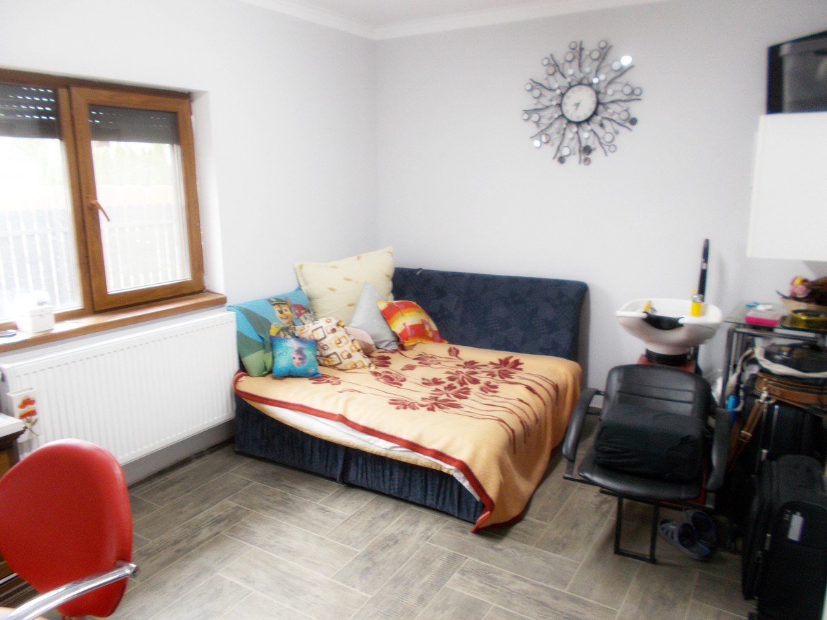 imobiliare timisoara