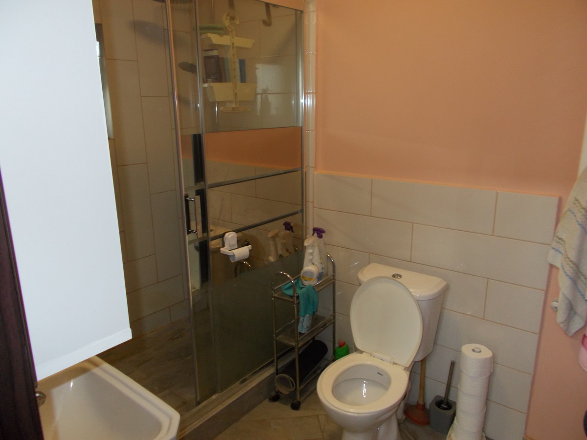 imobiliare timisoara