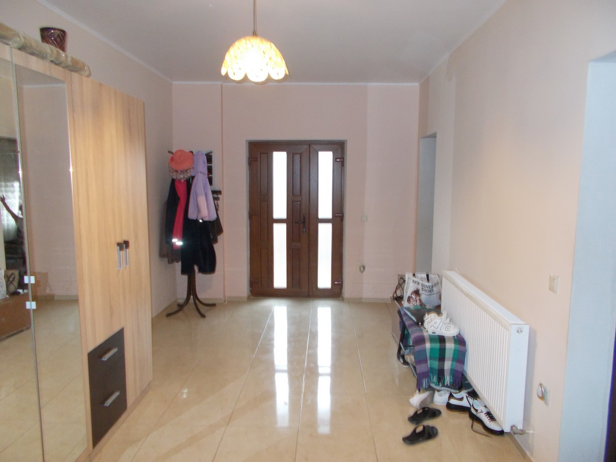 imobiliare timisoara
