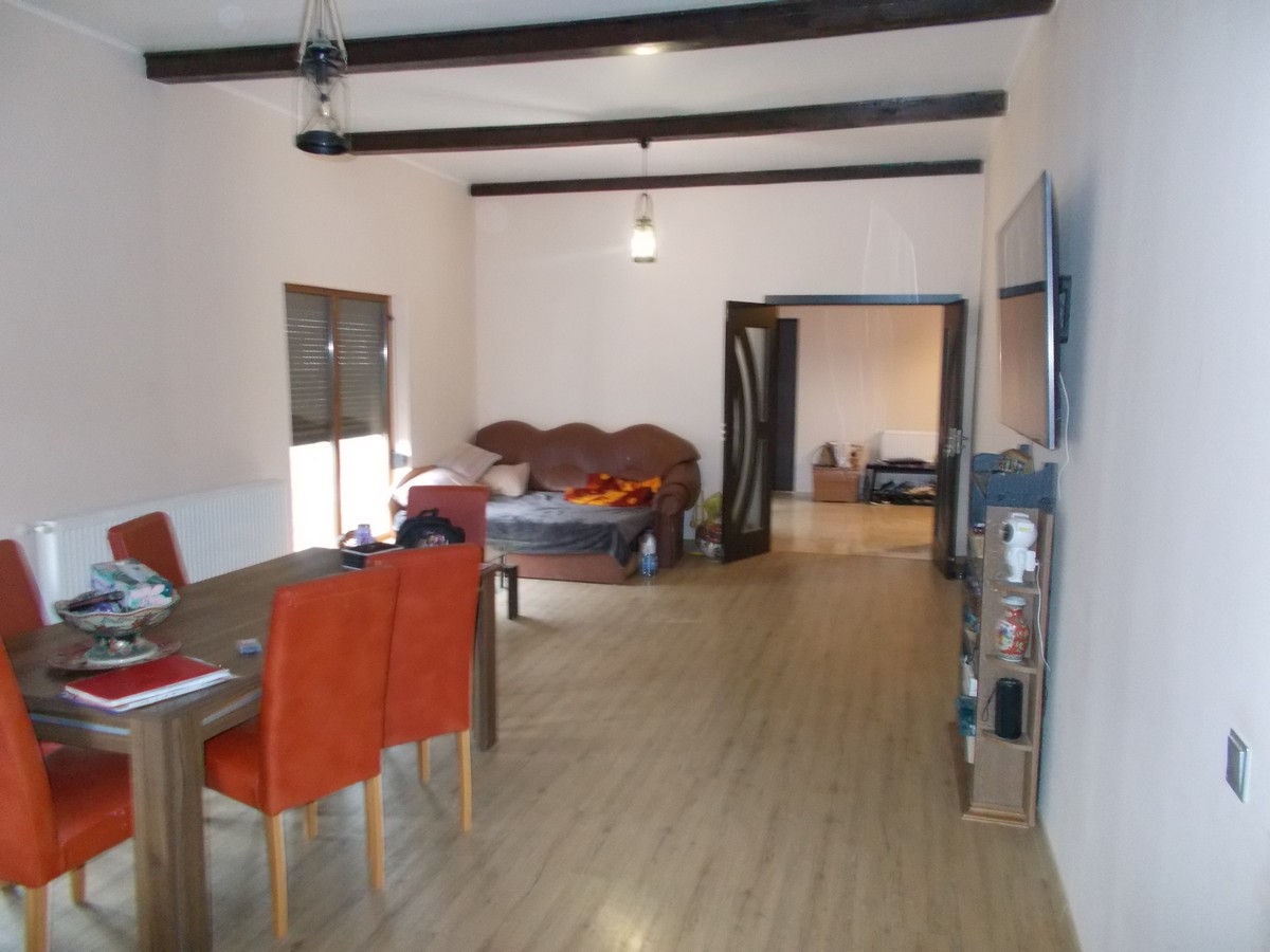 imobiliare timisoara
