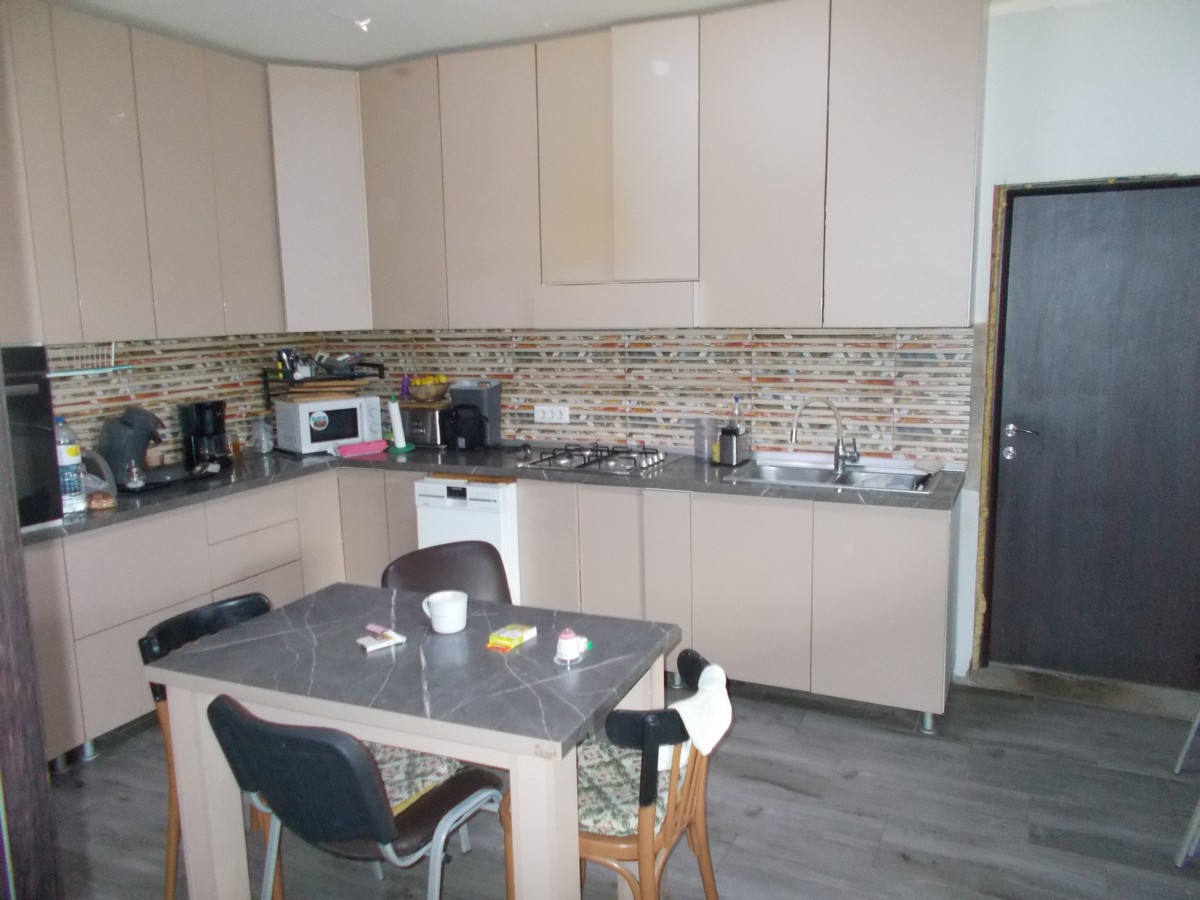 imobiliare timisoara