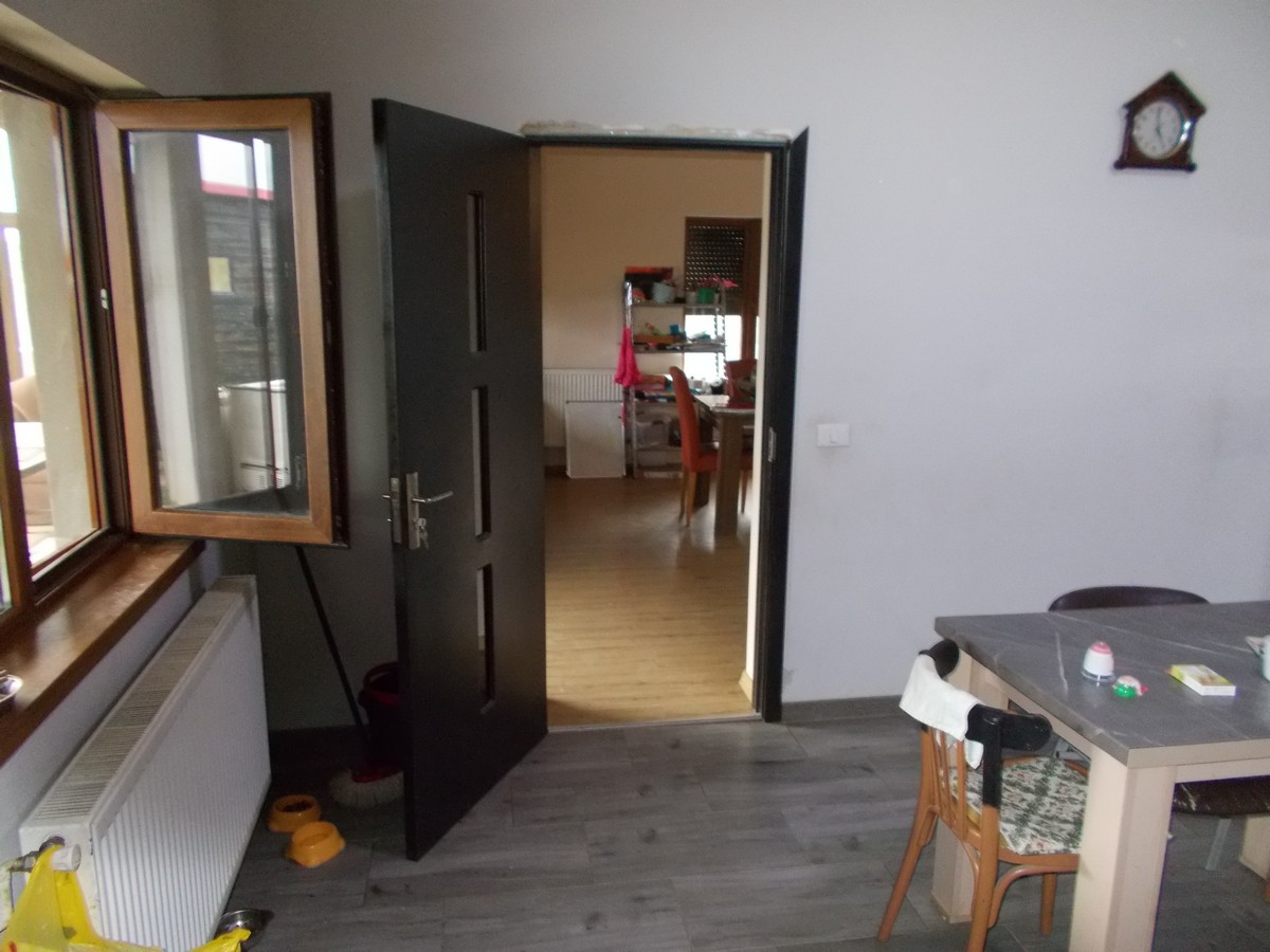 imobiliare timisoara