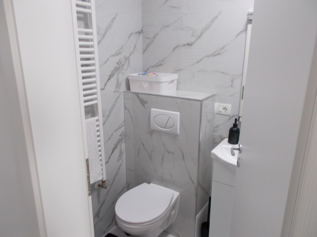 imobiliare timisoara