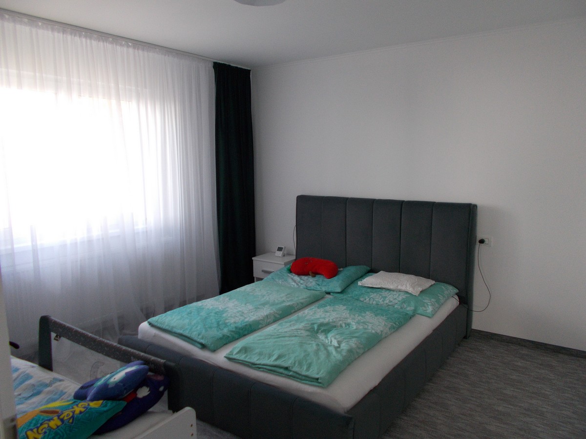 imobiliare timisoara