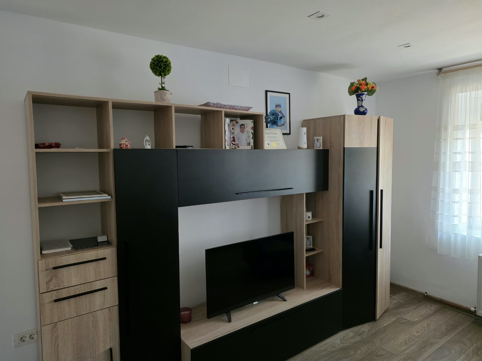 imobiliare timisoara