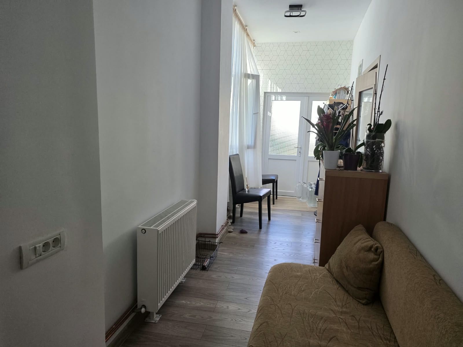 imobiliare timisoara