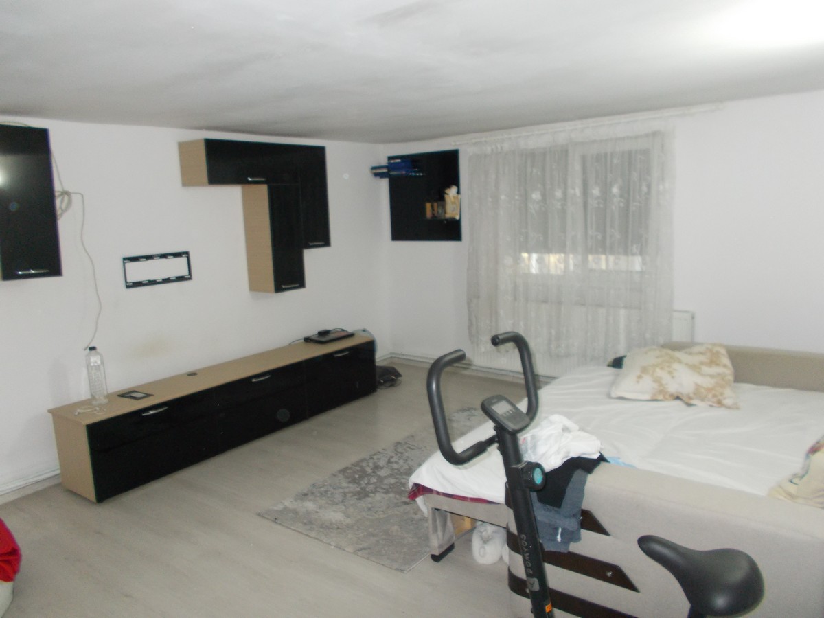 imobiliare timisoara