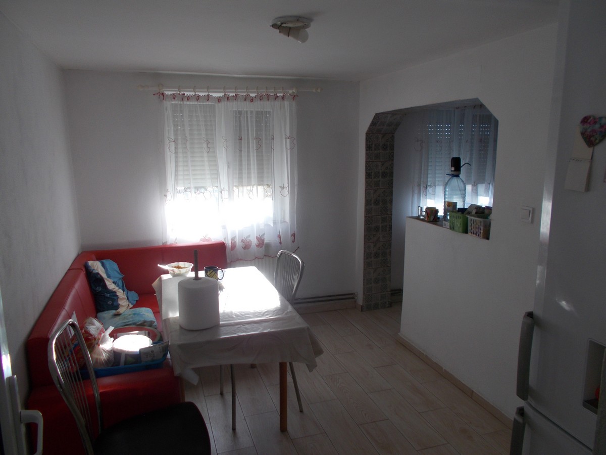 imobiliare timisoara