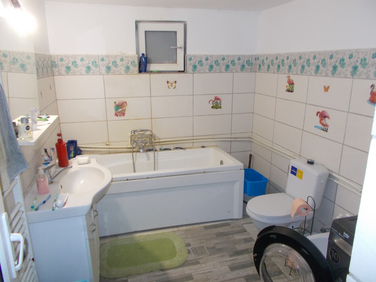 imobiliare timisoara