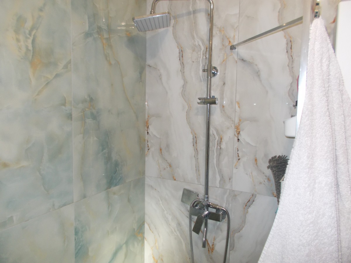 imobiliare timisoara