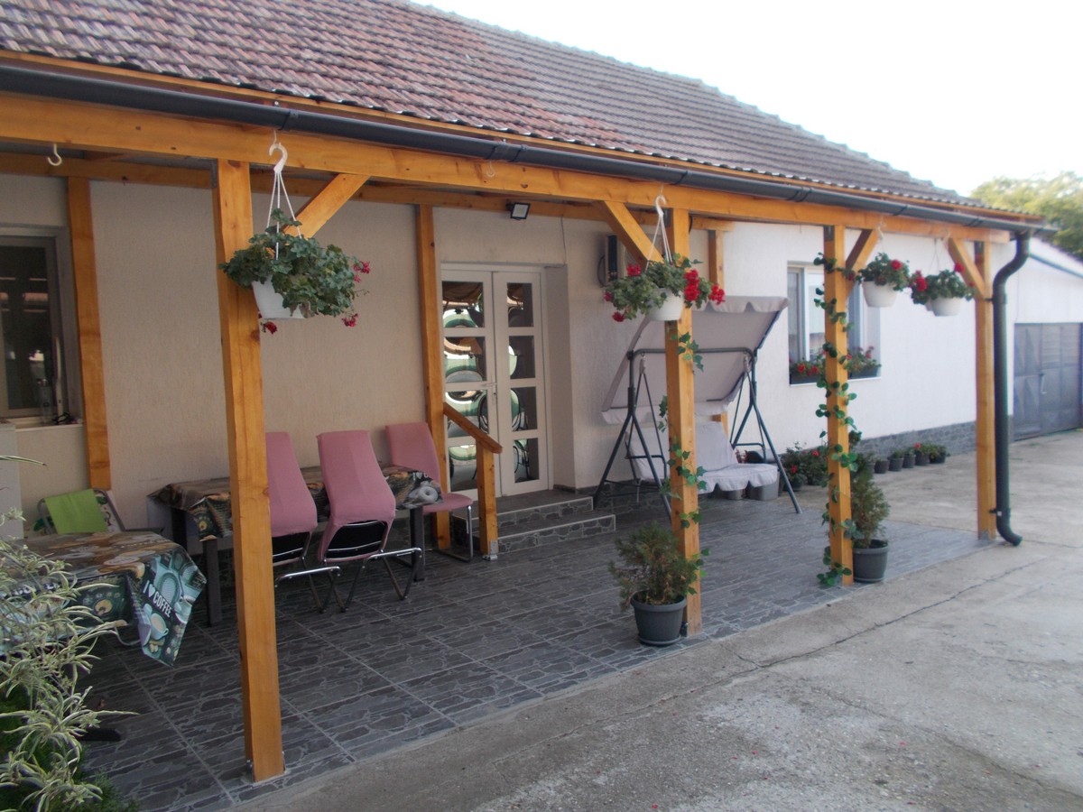 imobiliare timisoara