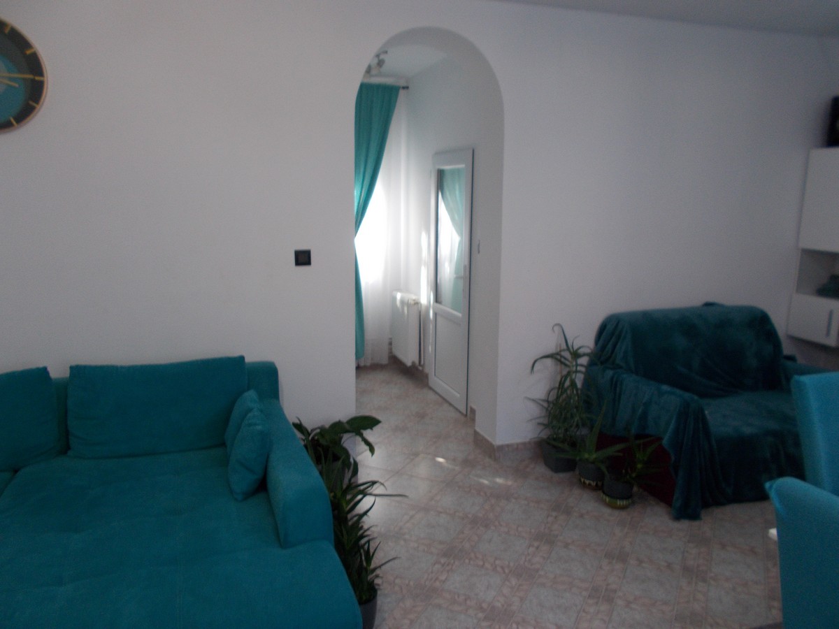 imobiliare timisoara