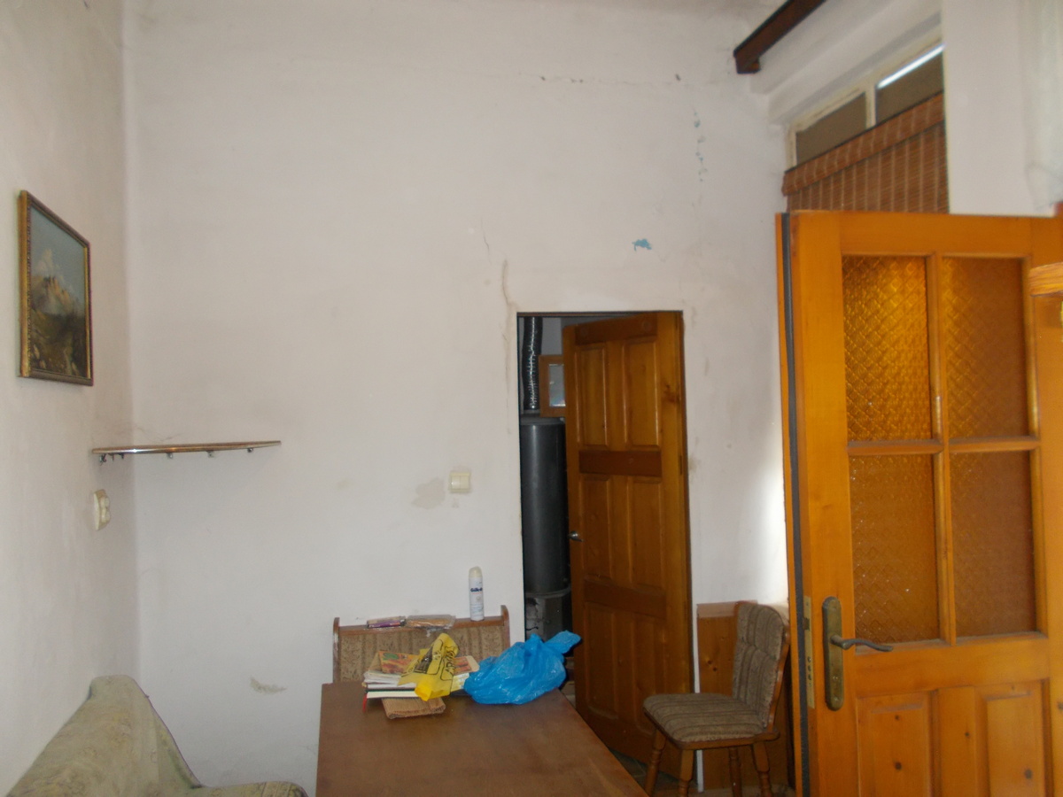 imobiliare timisoara