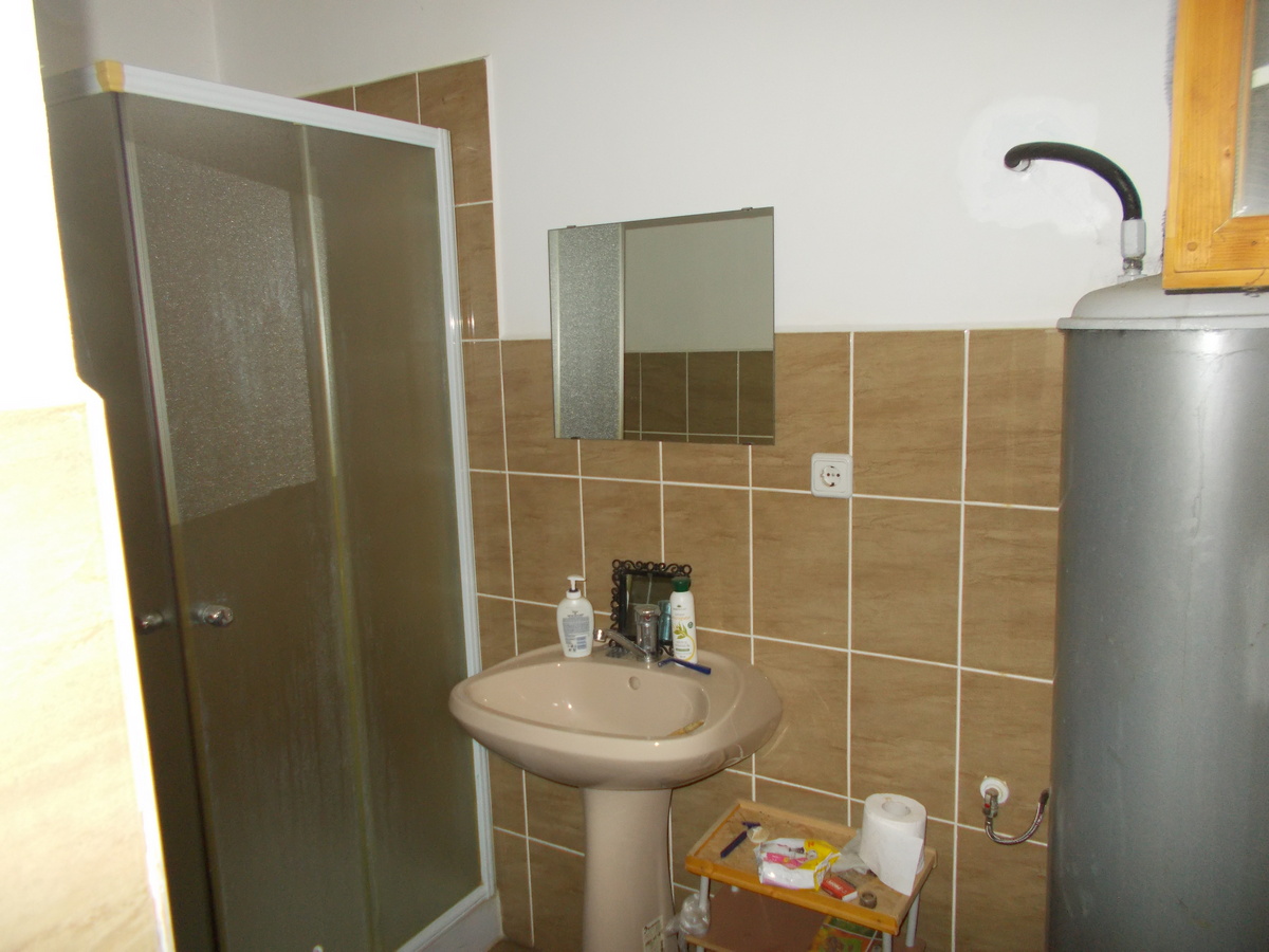 imobiliare timisoara