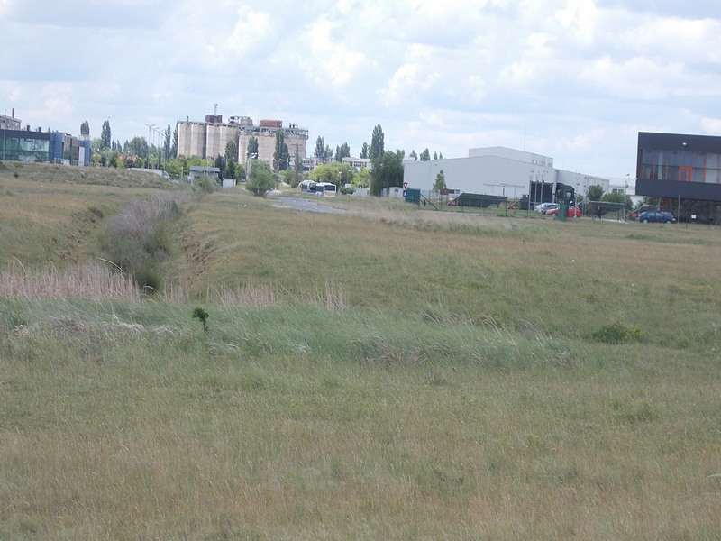 imobiliare timisoara terenuri