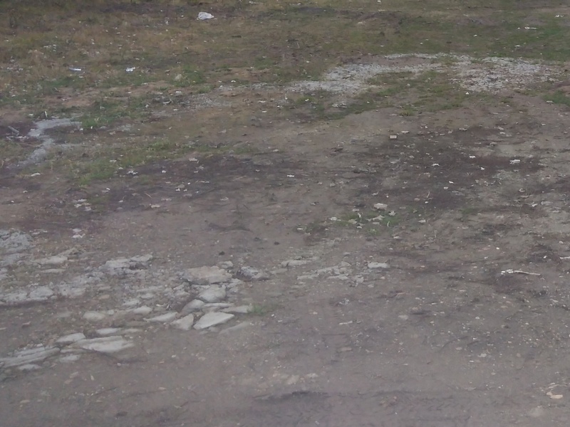 imobiliare timisoara terenuri