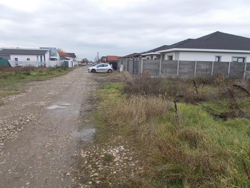 imobiliare timisoara terenuri