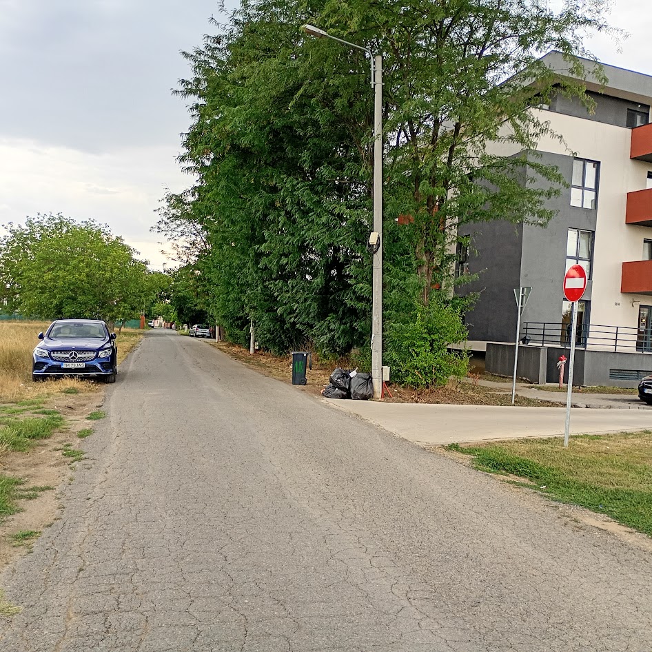 imobiliare timisoara terenuri
