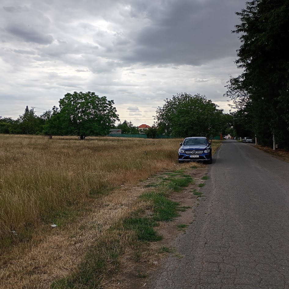 imobiliare timisoara terenuri