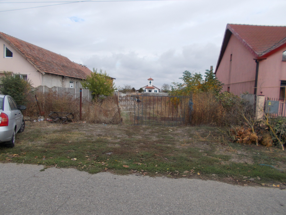 imobiliare timisoara